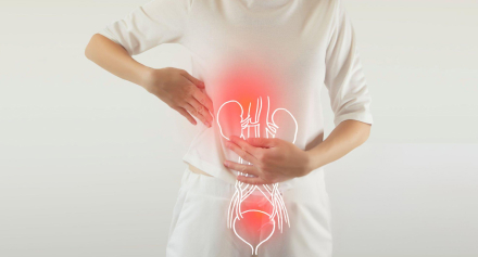 Image representing Bladder Matters: Understanding and Addressing Common Bladder Issues Faced by Women