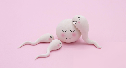 Image representing Fertility Fundamentals: Understanding Ovulation, Conception, and Infertility Issues