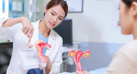 Image representing A Complete Guide to Cervical Dysplasia: Is it cancer?