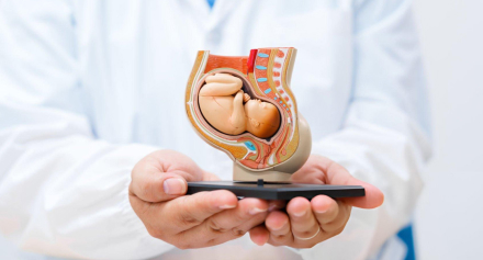 Image representing A Complete Understanding of Congenital Abnormalities of Reproductive Tract