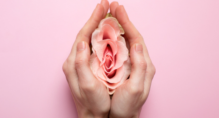 Image representing Understanding Vulvovaginitis: Causes, Symptoms, and Treatment Options