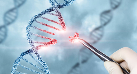 Image representing DiGeorge Syndrome Explained: Heart Defects, Immune Issues, and Long-Term Care