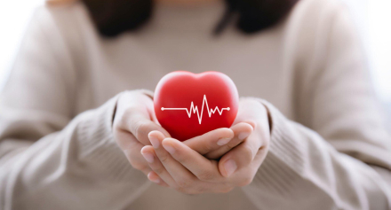 Image representing Heart Disease in Women: Symptoms, Risk Factors, Prevention Tips and More!